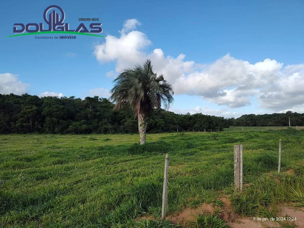 Terreno, 8 hectares - Foto 2