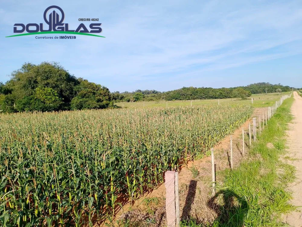 Terreno, 8 hectares - Foto 8