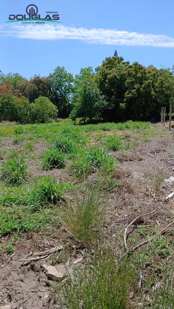 Terreno, 300 m² - Foto 3