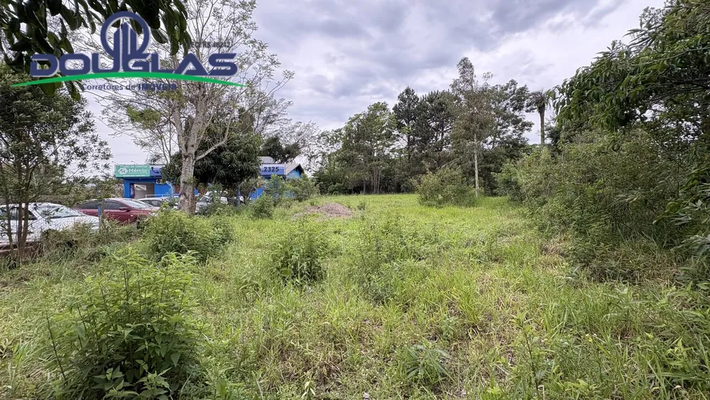 Terreno, 1400 m² - Foto 5