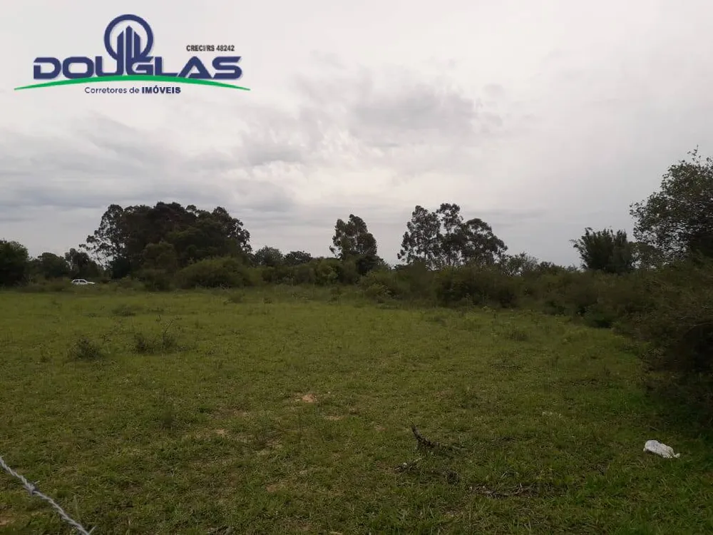 Terreno, 4000 m² - Foto 5
