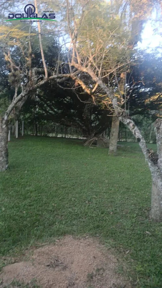 Terreno, 600 m² - Foto 3