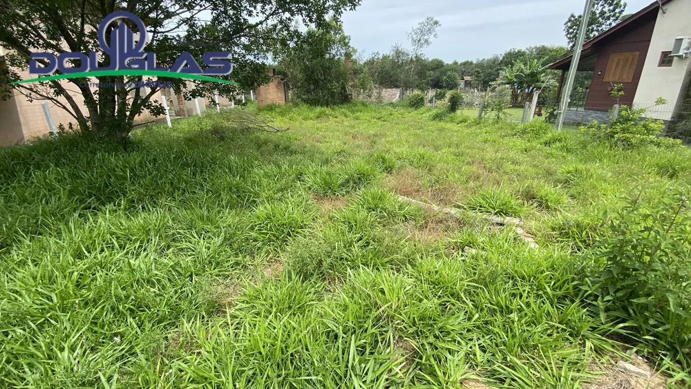 Terreno - Foto 2