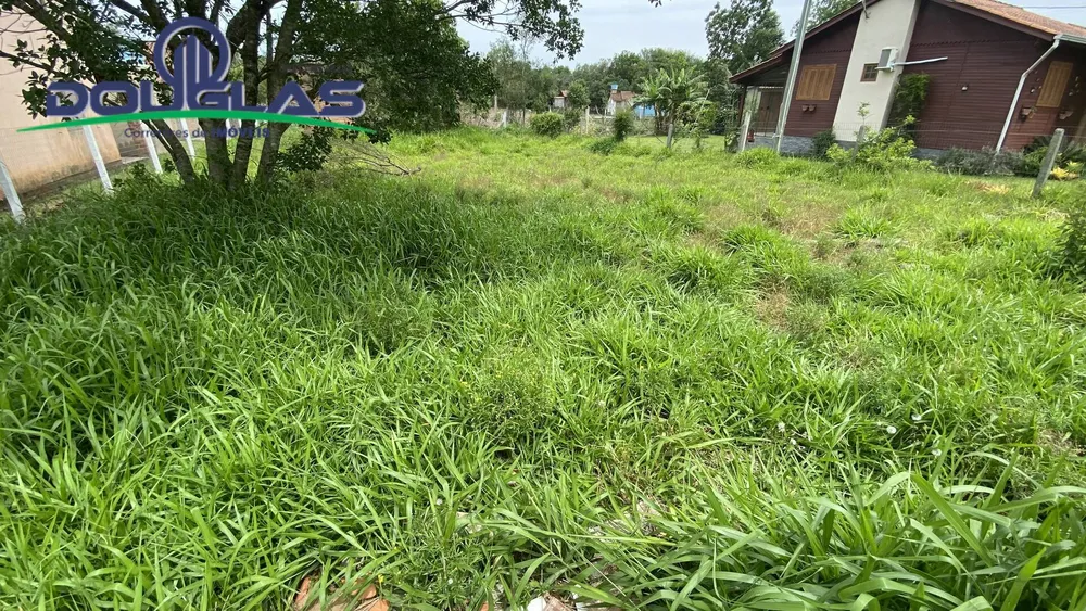 Terreno - Foto 3