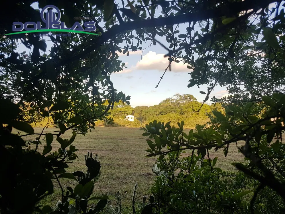 Terreno - Foto 1