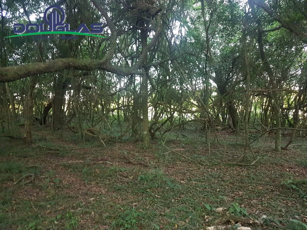 Terreno - Foto 3