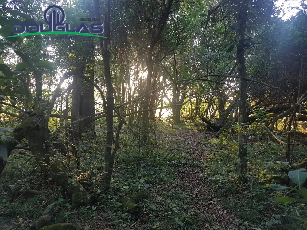 Terreno - Foto 9