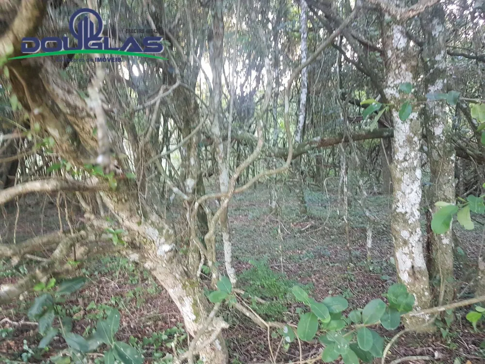 Terreno - Foto 10