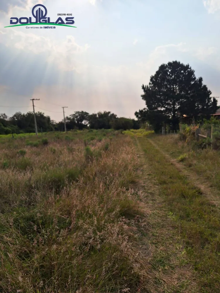 Terreno - Foto 6