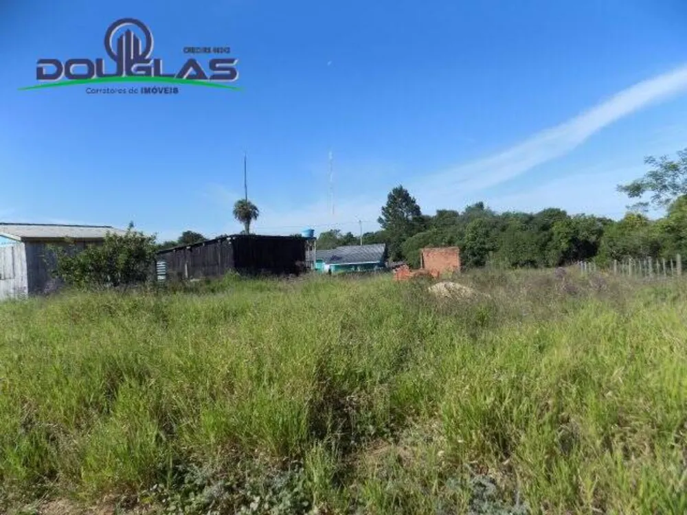 Terreno - Foto 3
