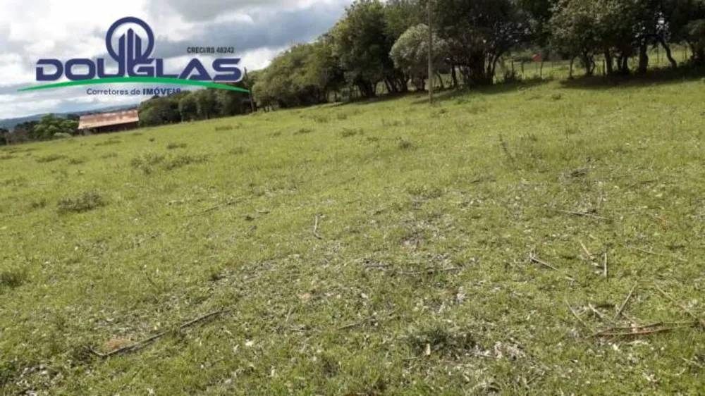 Terreno, 2 hectares - Foto 8
