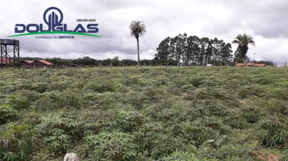 Terreno, 2 hectares - Foto 4