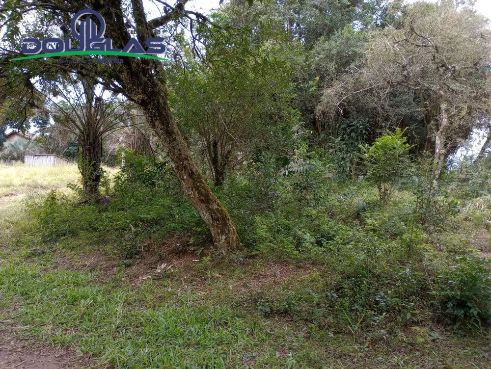 Terreno, 5000 m² - Foto 10