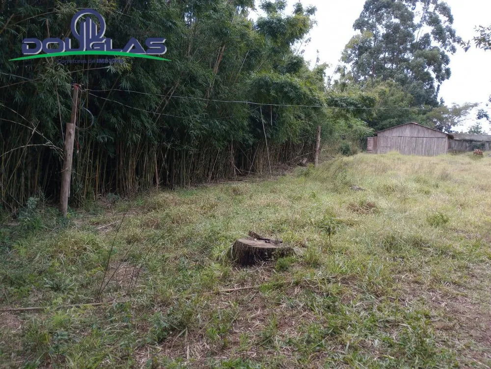 Terreno, 5000 m² - Foto 8