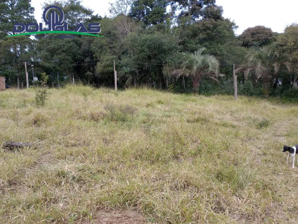 Terreno, 5000 m² - Foto 7