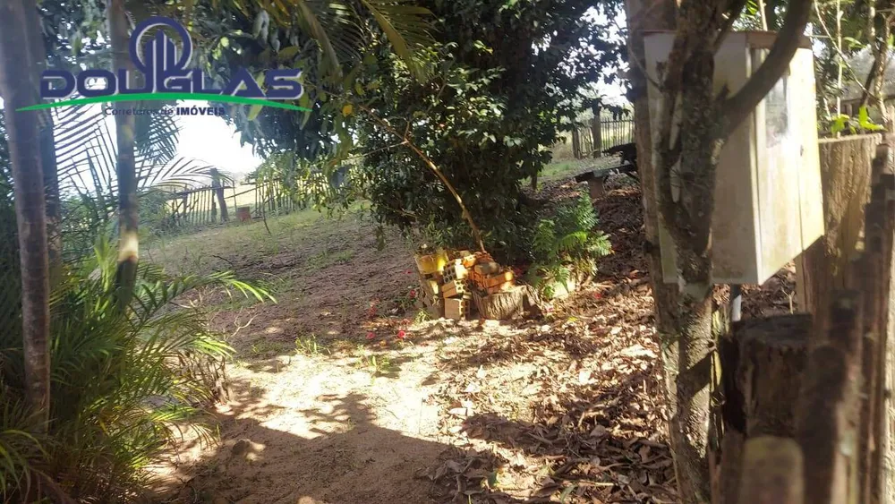 Chácara, 4 quartos, 5000 m² - Foto 5