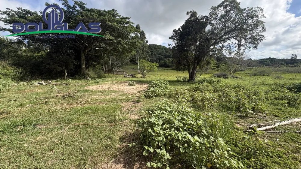 Terreno - Foto 5