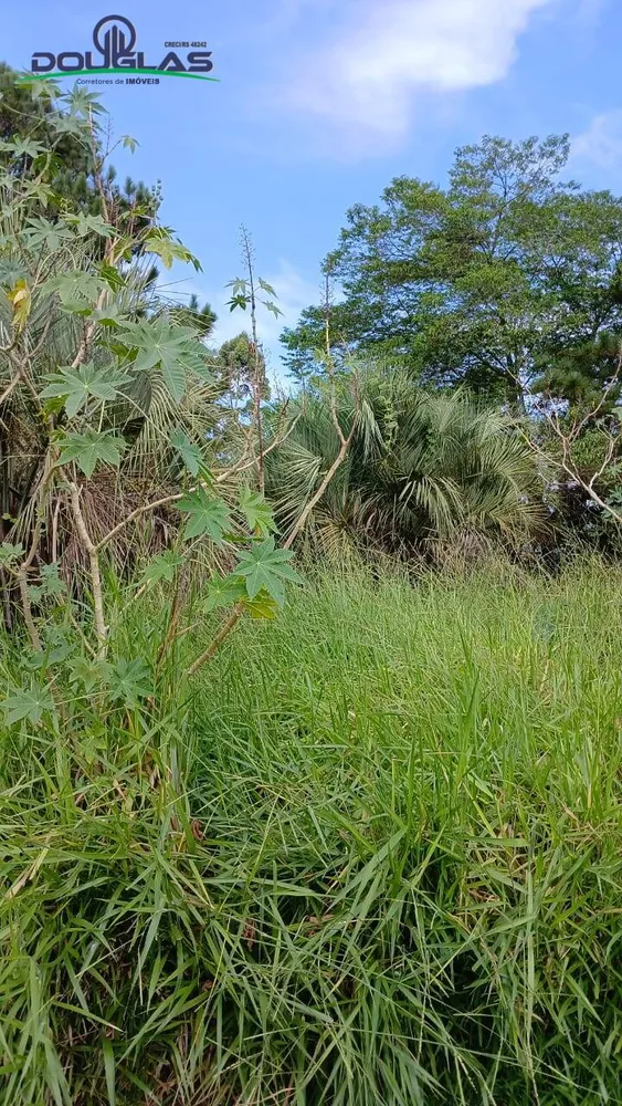 Terreno, 550 m² - Foto 1