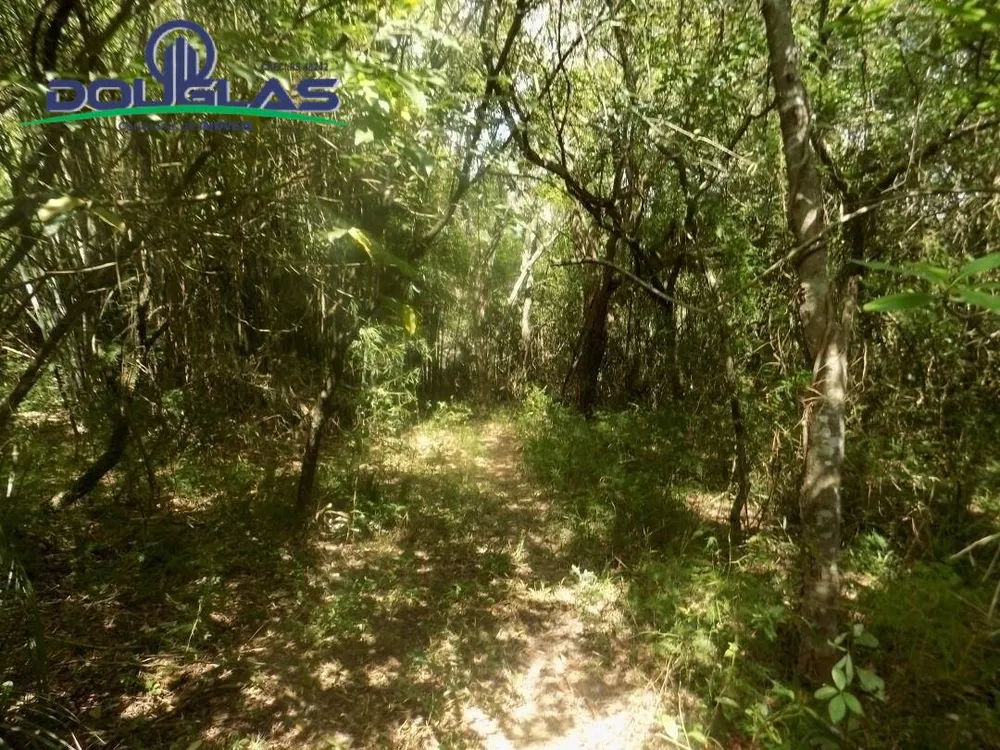 Prédio Inteiro - Foto 4