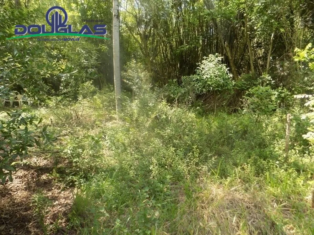 Prédio Inteiro - Foto 2