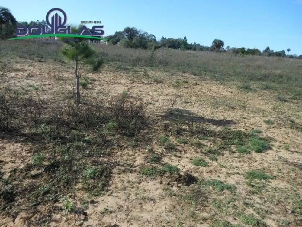 Sítio, 1 quarto, 2 hectares - Foto 4