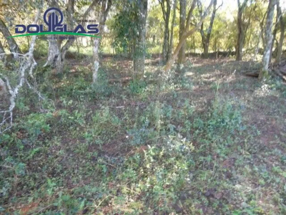 Sítio, 1 quarto, 2 hectares - Foto 8