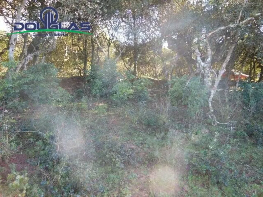 Sítio, 1 quarto, 2 hectares - Foto 1