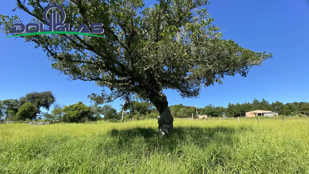 Terreno - Foto 7