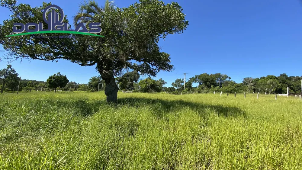 Terreno - Foto 6