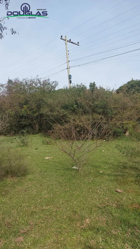 Terreno, 2 hectares - Foto 5