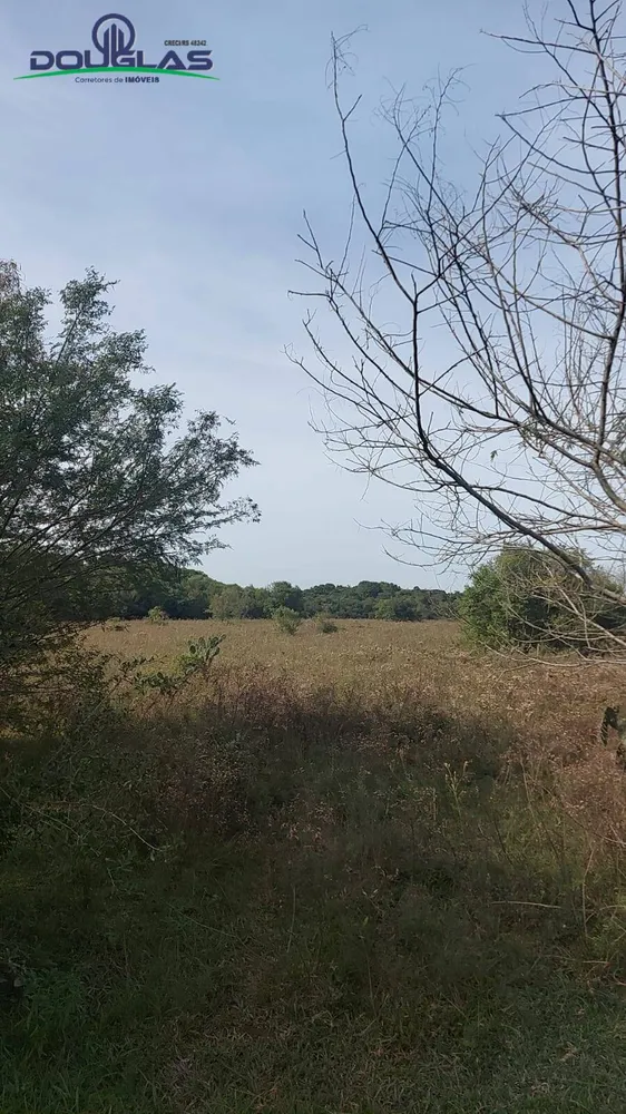 Terreno, 2 hectares - Foto 6