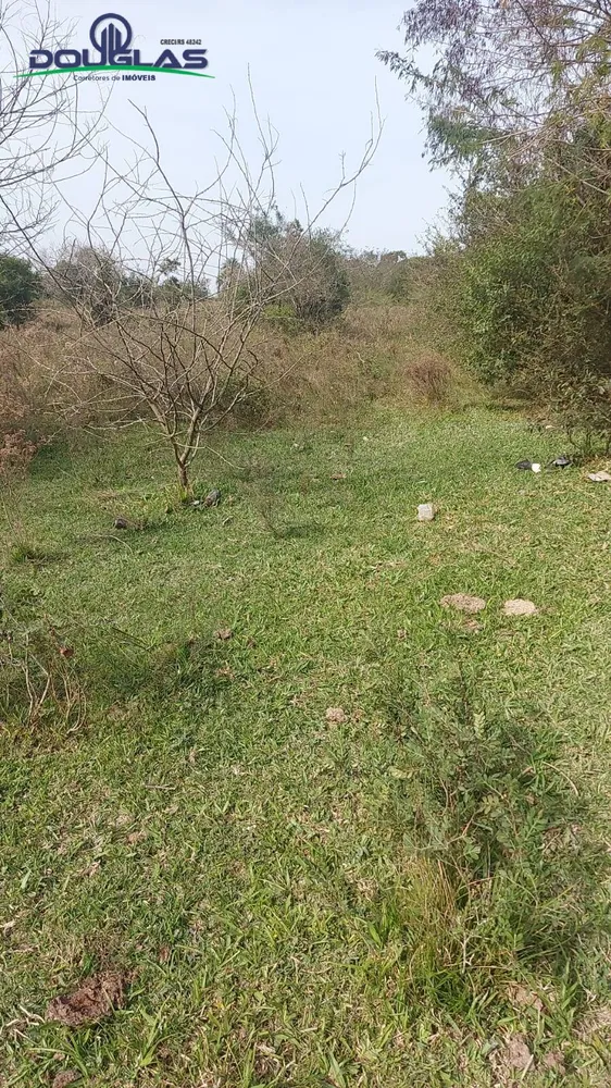 Terreno, 2 hectares - Foto 1