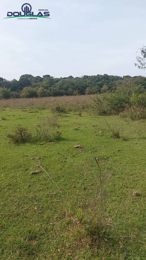 Terreno, 2 hectares - Foto 4