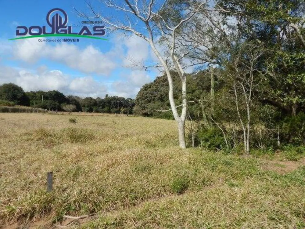 Terreno, 1000 m² - Foto 3
