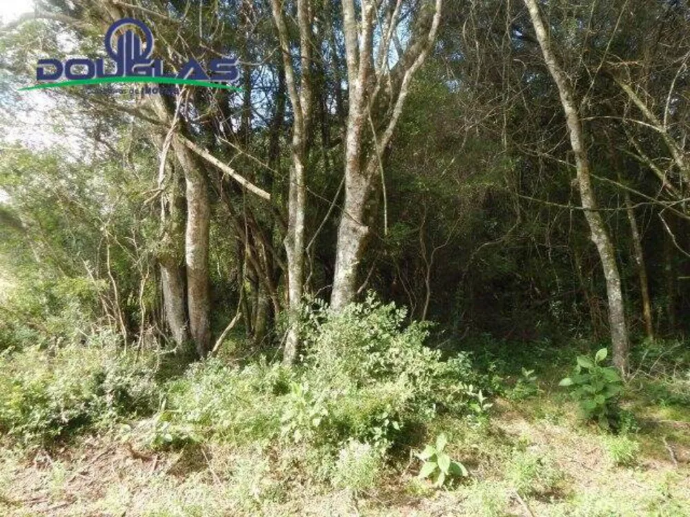 Terreno, 1000 m² - Foto 2