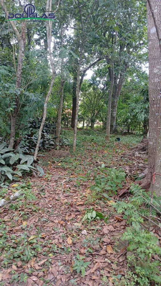Terreno, 600 m² - Foto 3