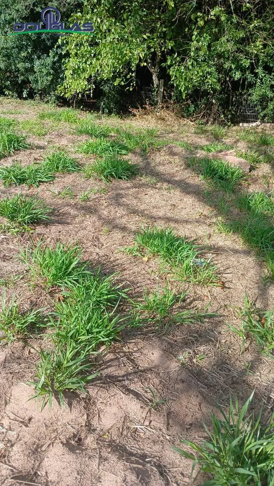 Terreno, 300 m² - Foto 5