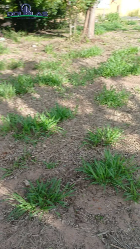 Terreno, 300 m² - Foto 3