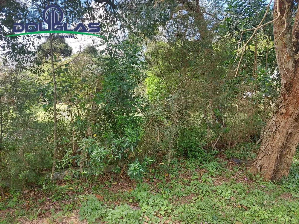 Terreno, 600 m² - Foto 6
