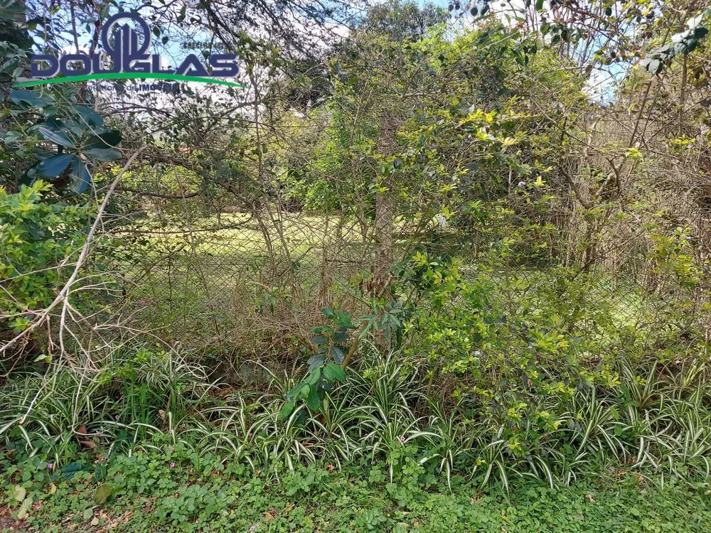 Terreno, 600 m² - Foto 7