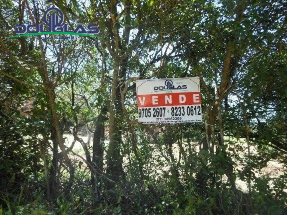 Terreno, 800 m² - Foto 12
