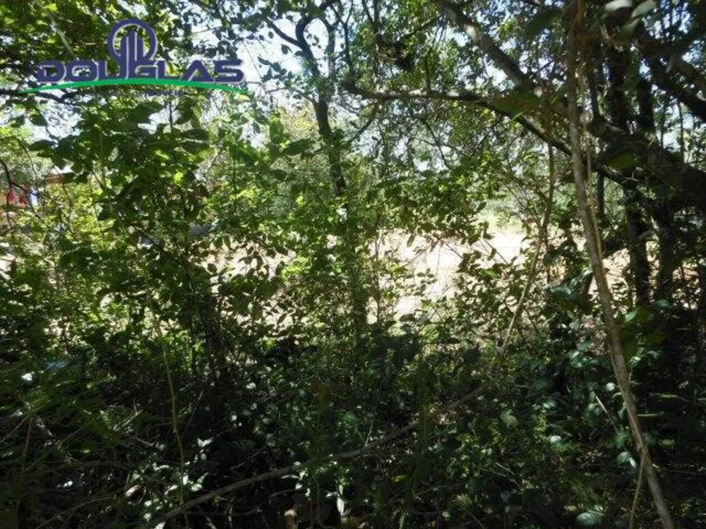 Terreno, 800 m² - Foto 8