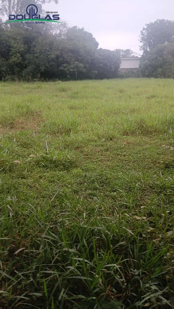 Terreno - Foto 4