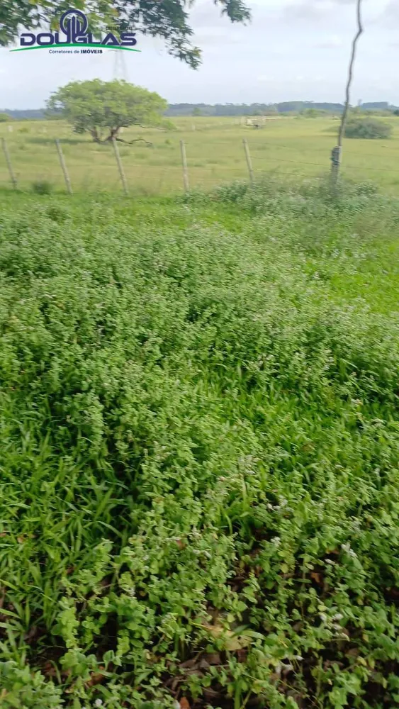 Terreno - Foto 2