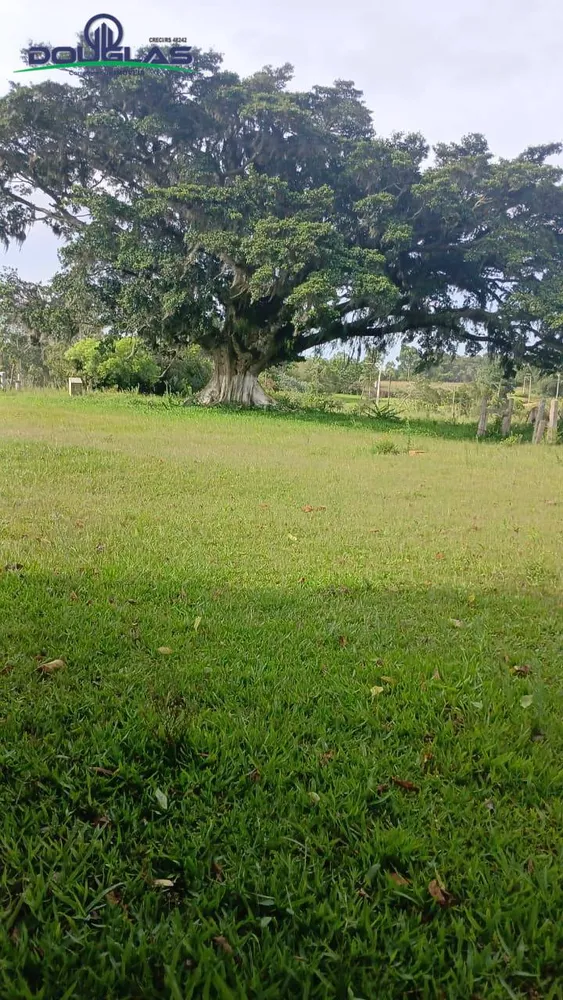 Terreno - Foto 3