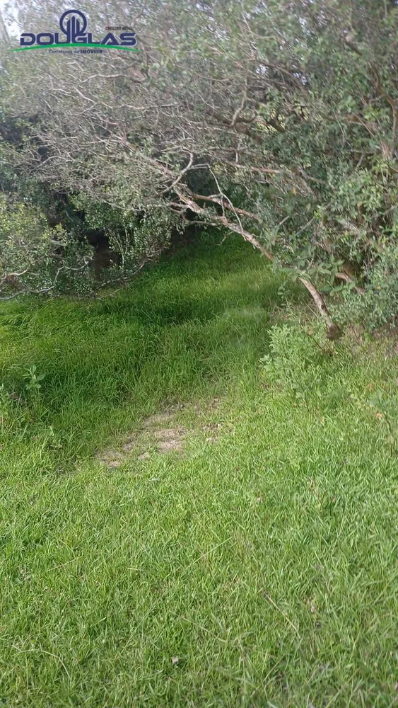 Terreno - Foto 8