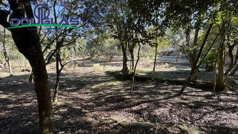 Terreno, 4000 m² - Foto 8