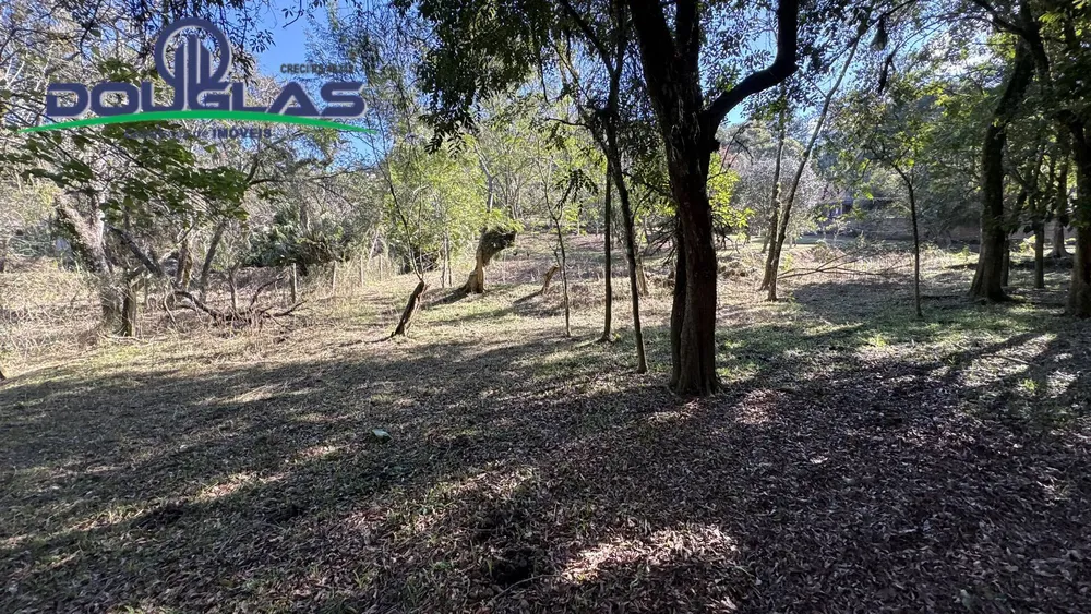 Terreno, 4000 m² - Foto 4