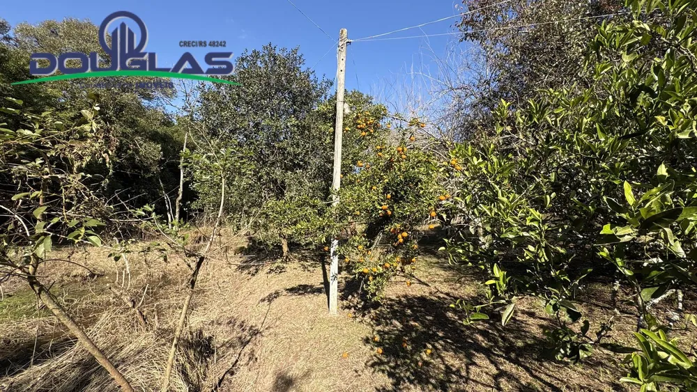 Terreno, 4000 m² - Foto 6
