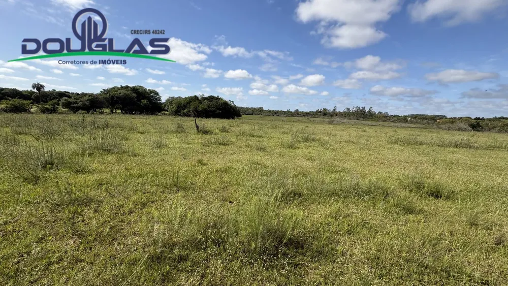 Terreno, 6 hectares - Foto 12